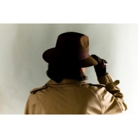 Ariel Investigations, Inc. Logo