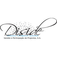 Diside Logo