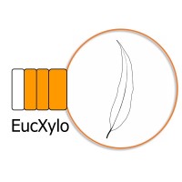 EucXylo Logo
