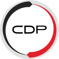 Certified Digital Professional Logo