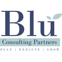 Blu Consulting Partners Logo