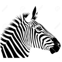 Kalahari Zebra Logo