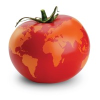 World Tomato Society Logo