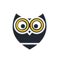 theDigitOwls Logo