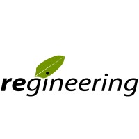 regineering GmbH Logo