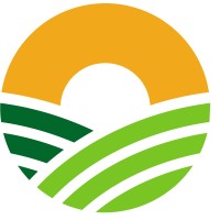 Grupo Olim Logo