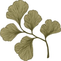 Darwin Ecology Logo