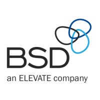 BSD Consulting Logo