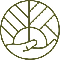 Novidade Saudável Logo