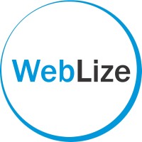 WebLize Marketing Digital Logo