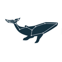 Constellation Learning Institute Logo