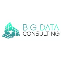 Big Data Consulting Logo