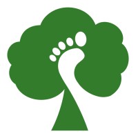 The Forest Project B.V. Logo