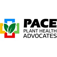 Pace 49 Logo