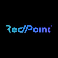 Red Point Software Solutions Logo