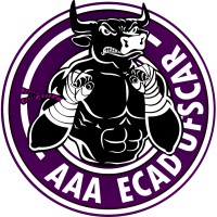 Associação Atlética Acadêmica ECAD Logo