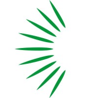 Palmetto Case Management Logo