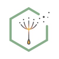 Bildung Foundation Logo