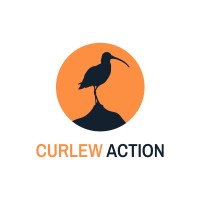 Curlew Action Logo