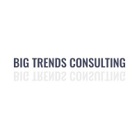Big Trends Consulting Logo