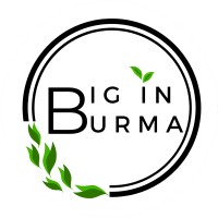 Big in Burma Logo