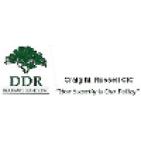 DDR Insurance Service, Inc. Logo