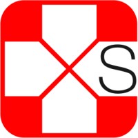 swissynergizers GmbH Logo