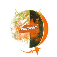 Pro Connect Basketball Logo