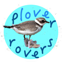 Plover Rovers Logo