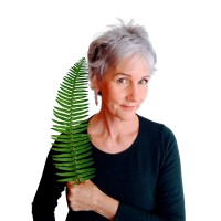 Switch Strategies for Change Logo