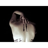 The Box Collective Logo