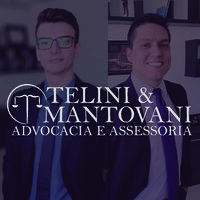 Telini & Mantovani Logo
