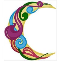 Bright Side Of The Moon Logo