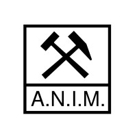 ANIM - Associazione Nazionale Ingegneri Minerari Logo
