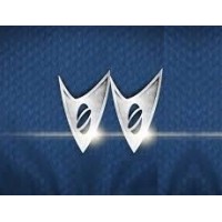 Ian Webb Consulting Logo