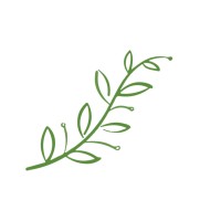 Olive and Salt Logo