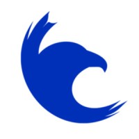 Blue Brave Digital Logo