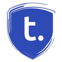 Thein Security Logo