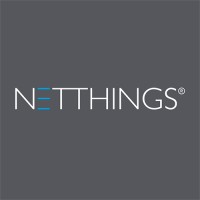 NetThings Logo