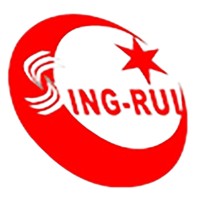 Sing-rui Leather Logo