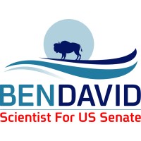 Merav Ben-David for US Senate Logo