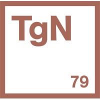 The Golden Noise Logo