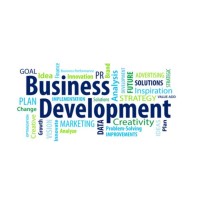 Business Development Consultant Logo