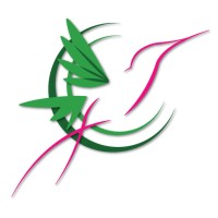 Calliope Concepts LLC Logo