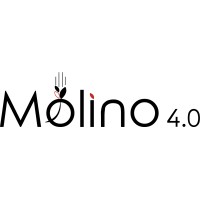 MOLINO 4.0 S.R.L. Logo