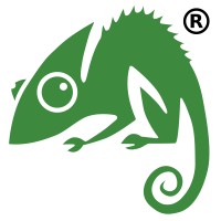 Chameleon Web Services Logo