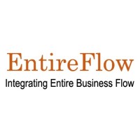 ENTIREFLOW IT SERVICES LIMITED Logo