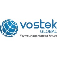 Vostek Global Logo