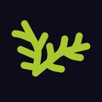 FireThrive Logo