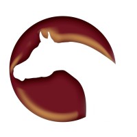 The Arabian Magazine Logo